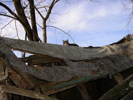 2005-11-26 009